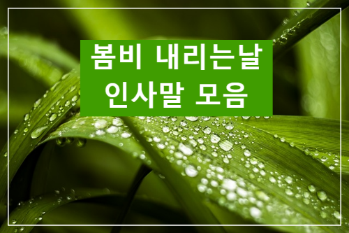 bfa703bc7ccb5925fc01d71a5c0f91cb.png