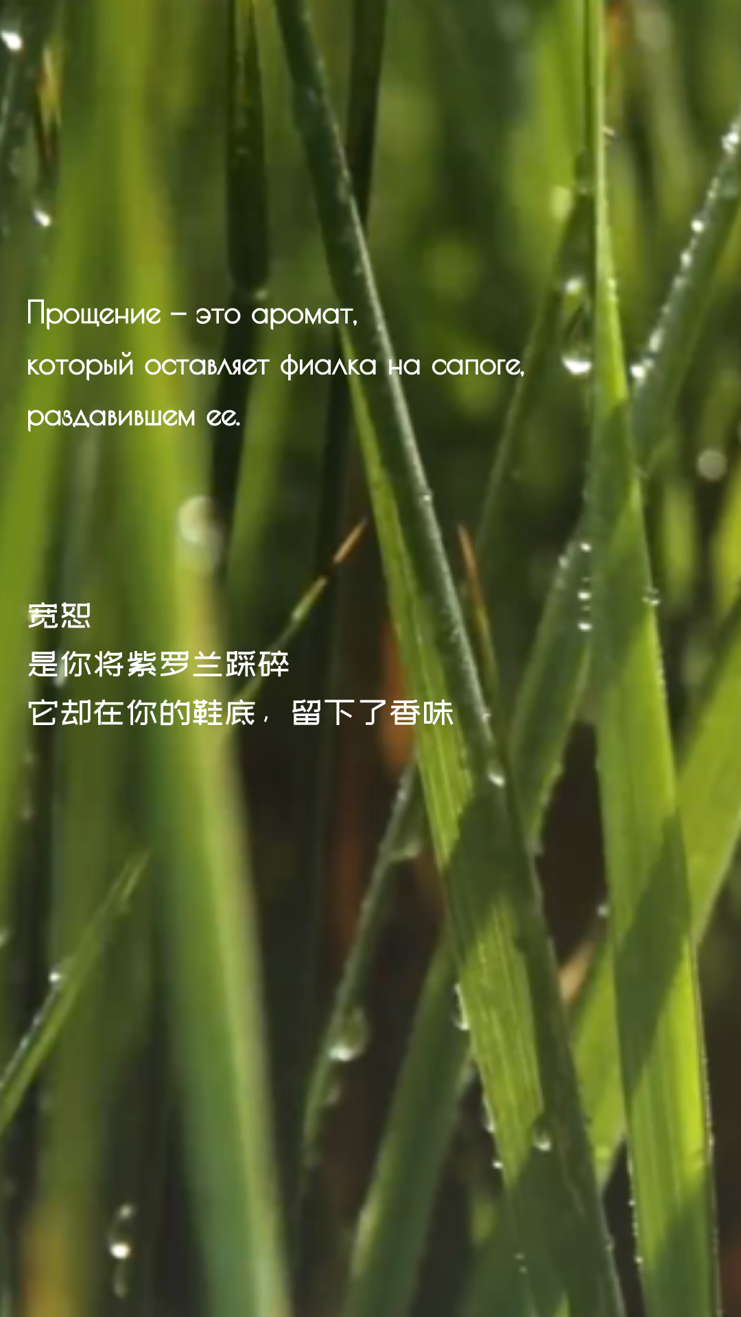 dbebf6286840be9c1edec275d85f8321.png
